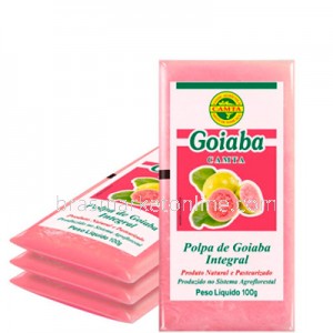 Polpa de Goiaba 4x100g Camta