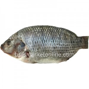 Tilápia 400~500g COD.127