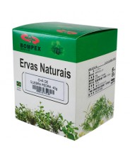 Chá de Quebra Pedra 40g Ervas Naturais 